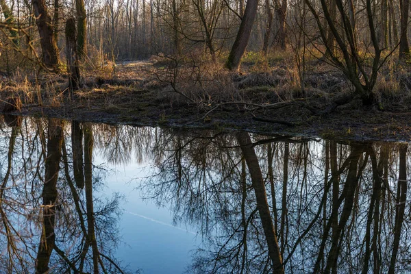 Ticino nehri ile güzel huzurlu doğa manzarası, İtalya