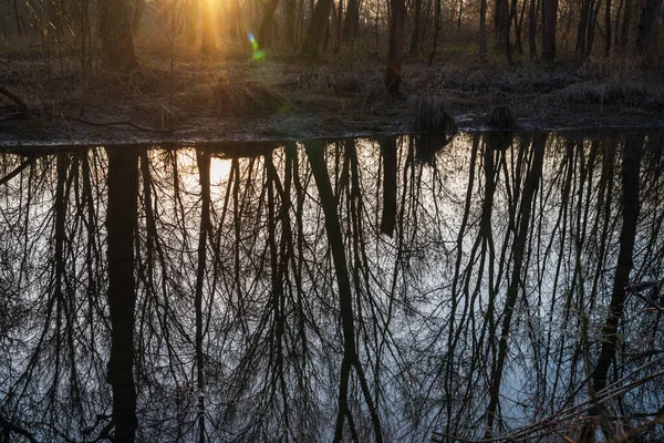 Ticino nehri ile güzel huzurlu doğa manzarası, İtalya