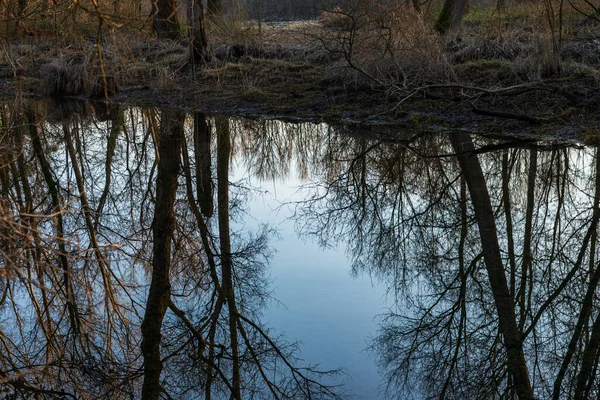 Ticino nehri ile güzel huzurlu doğa manzarası, İtalya
