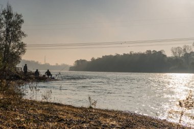 Güzel sonbahar sahnesi sabah, matemli, Lombardiya, İtalya