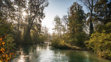 Güzel sonbahar sahnesi sabah, matemli, Lombardiya, İtalya
