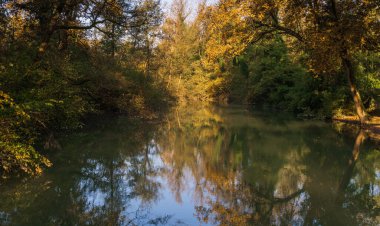 Sakin nehir suyuna yansıyan güzel sonbahar ağaçları