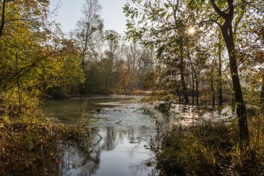 Sabahları yemyeşil bitki ve nehir.