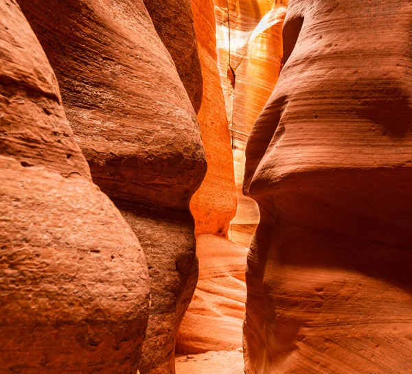 Antilop Kanyonunun Doğal Güzelliği Arizona — Stok fotoğraf