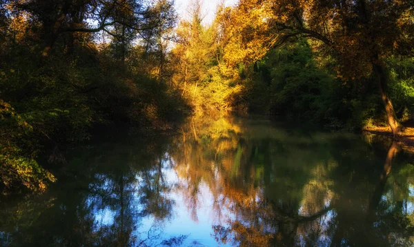 Sonbahar Boyunca Sakin Nehirde Yansıyan Ağaçlar — Stok fotoğraf