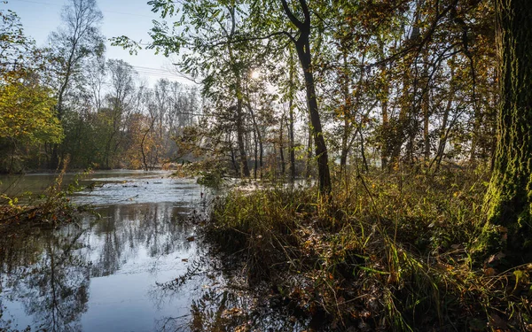 Trees Reflected Calm River Autumn — Stock Photo, Image