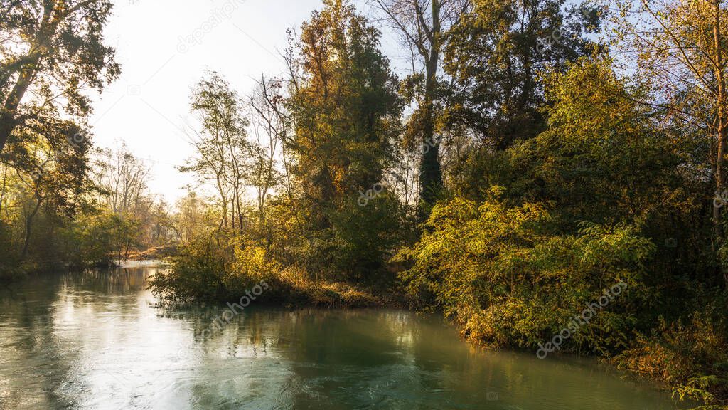 trees reflected in calm river during autumn