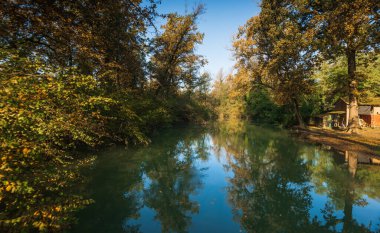 Sonbahar boyunca sakin nehirde yansıyan ağaçlar
