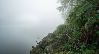 Nehir ve sahil üzerinde sakin sisli bir sabah