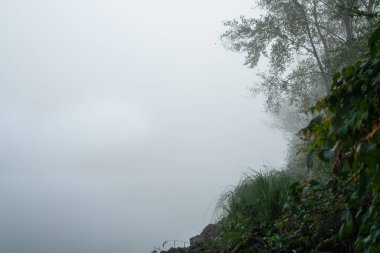 Nehir ve sahil üzerinde sakin sisli bir sabah