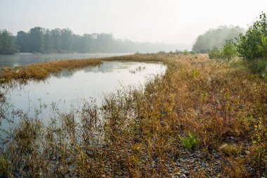 Sakin nehrin güzel doğal manzarası ve sabahları sonbahar bitkileri.