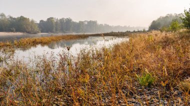 Sonbahar sabahı nehir ve ağaçlarla dolu güzel bir kırsal alan.