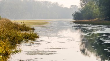 Güzel sonbahar manzarası sakin nehir ve yemyeşil bitki örtüsüyle sabah