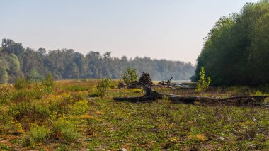 Güzel sonbahar manzarası sakin nehir ve yemyeşil bitki örtüsüyle sabah
