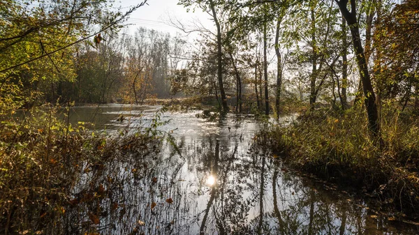 Trees Reflected Calm River Autumn — Stock Photo, Image