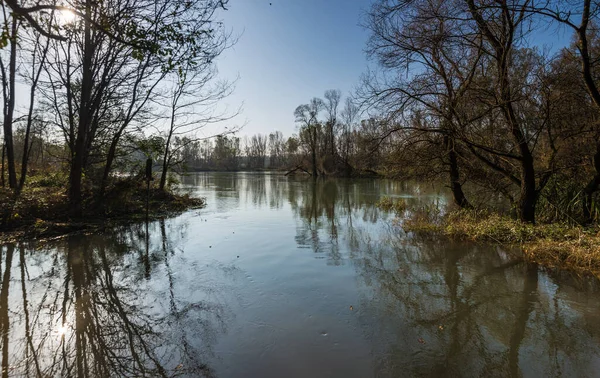 Trees Reflected Calm River Morning — Stock Photo, Image