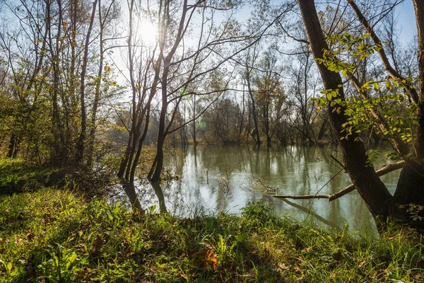 Trees Reflected Calm River Autumn — Stock Photo, Image