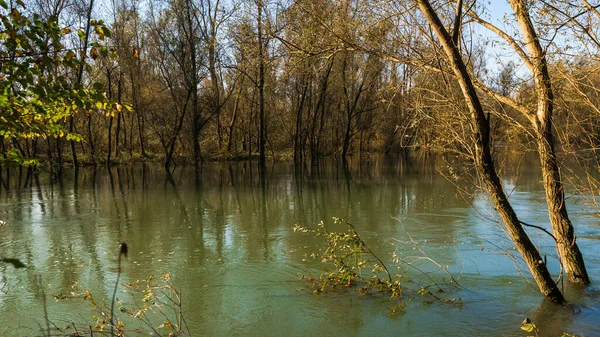 Beautiful Trees Reflecting Caln River Autumn — Stock Photo, Image