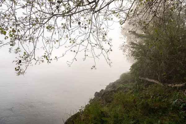 Ruhiger Nebliger Morgen Über Fluss Und Küste — Stockfoto