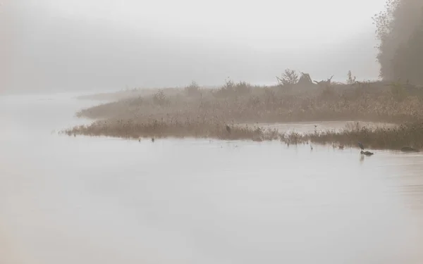 Γαλήνιο Ομιχλώδες Πρωινό Πάνω Από Ποτάμι Και Την Ακτή — Φωτογραφία Αρχείου