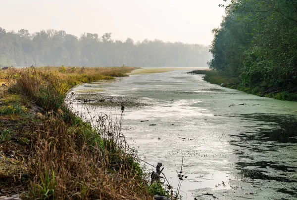 Beautiful Autumn Landscape Calm River Lush Vegetation Morning — Stock Photo, Image