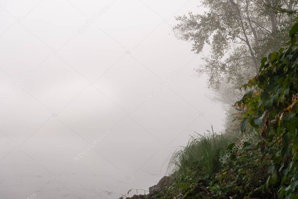 foggy landscape with river bank and vegetation   