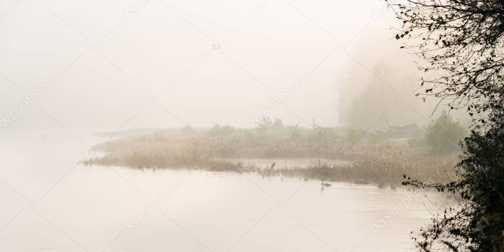 tranquil misty morning above river and coast