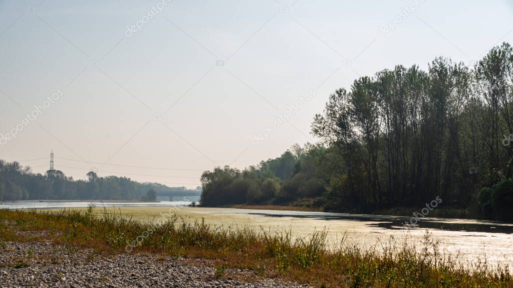 beautiful rural landscape with river and trees in the morning
