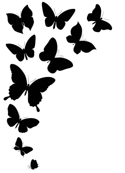 Vectorillustratie Van Zwarte Vlinders Geïsoleerd Witte Achtergrond — Stockvector