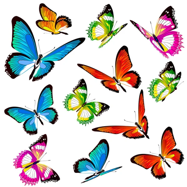 Ilustración Vectorial Colorida Hermosas Mariposas Aisladas Sobre Fondo Blanco — Archivo Imágenes Vectoriales