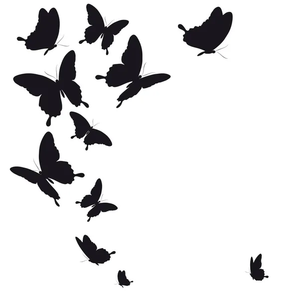 Ilustración Vectorial Mariposas Negras Aisladas Sobre Fondo Blanco — Vector de stock