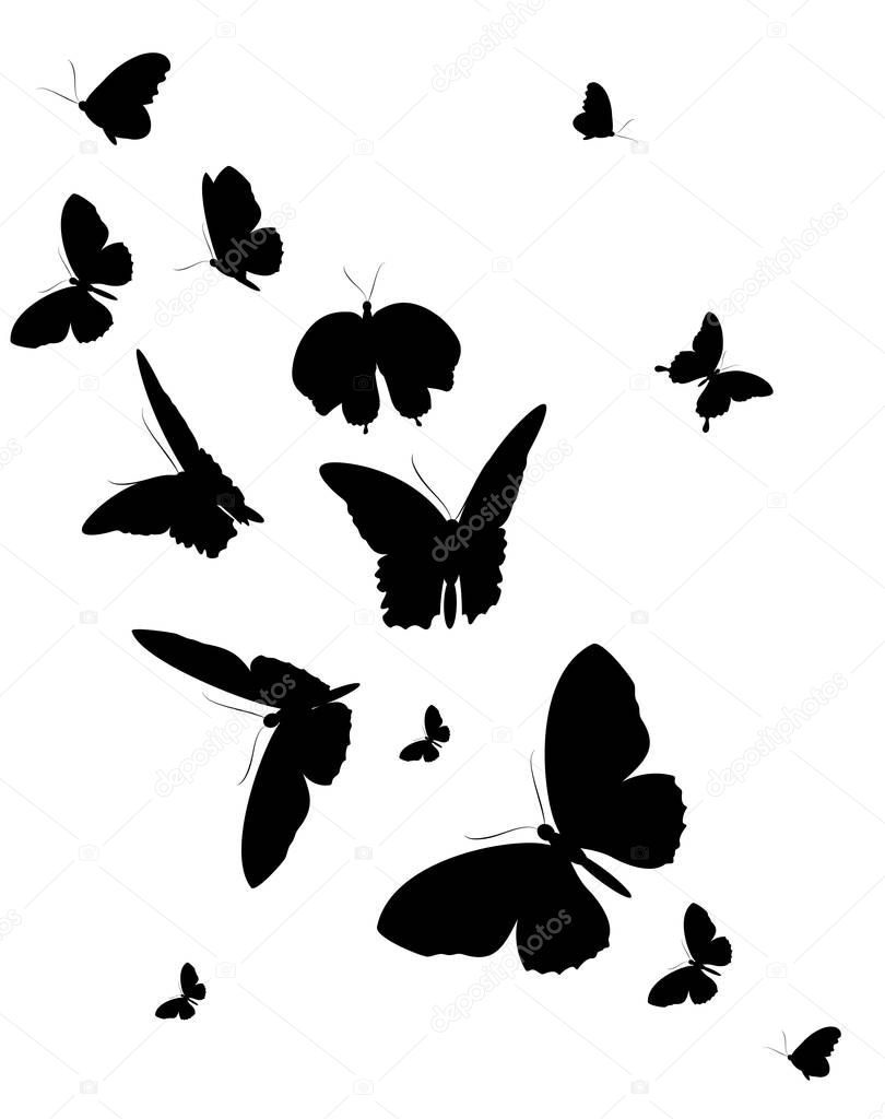 Vector illustration of black butterflies isolated on white background