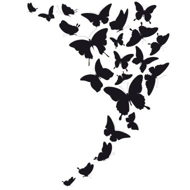 Vektör illüstrasyon izole beyaz arka plan üzerinde siyah kelebek