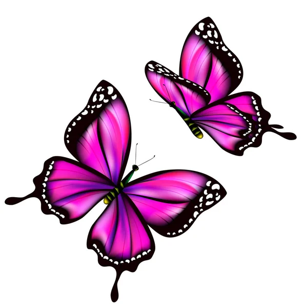 Ilustración Vectorial Colorida Hermosas Mariposas Rosadas Aisladas Sobre Fondo Blanco — Vector de stock