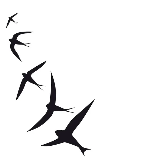 Ilustración Vectorial Blanco Negro Siluetas Aves Voladoras — Vector de stock