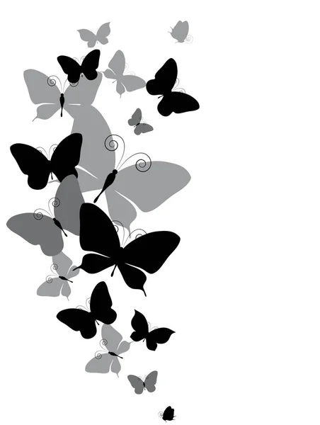 黑色蝴蝶在白色背景下分离的矢量图解 — 图库矢量图片