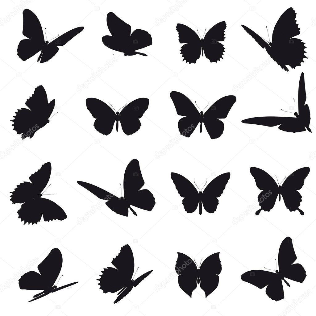 Vector illustration of black butterflies isolated on white background