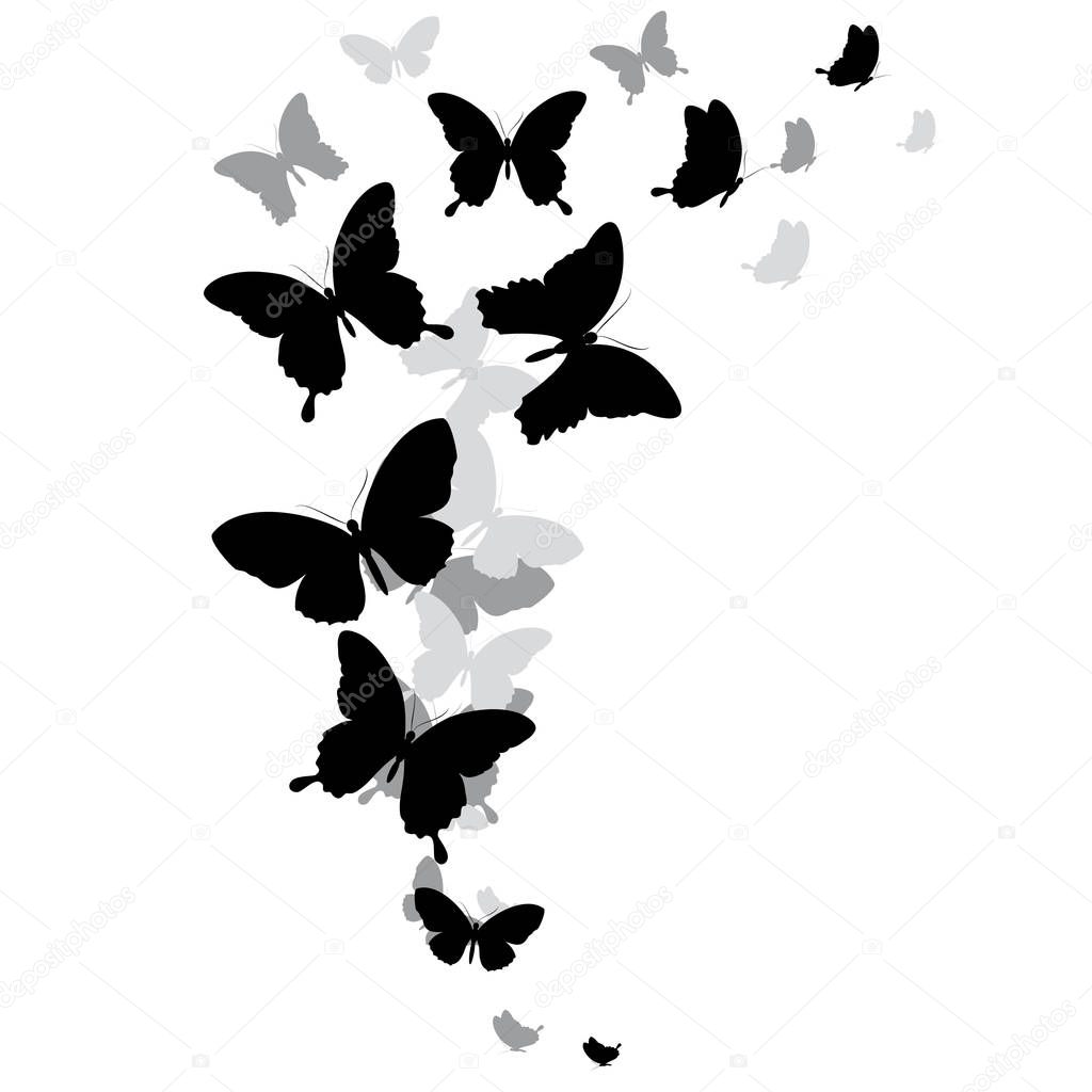 Vector illustration of black butterflies isolated on white background