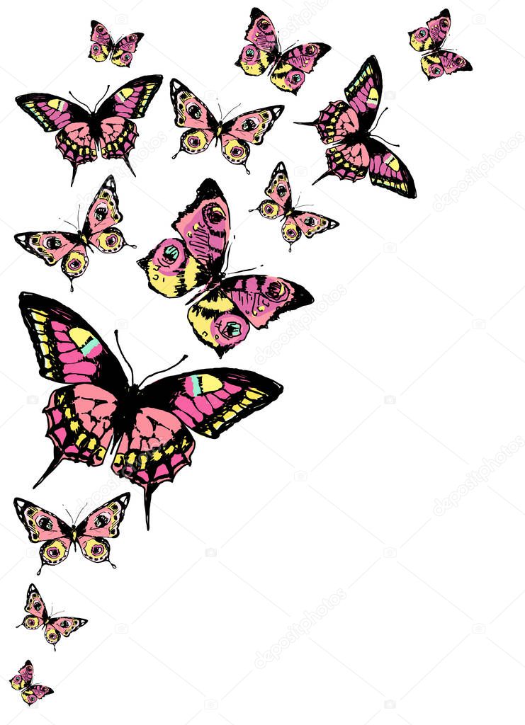 Colorful vector illustration of beautiful butterflies set isolated on white background