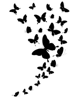 siyah beyaz arka plan, vektör, illüstrasyon izole kelebekler uçan koleksiyonu ile posta kartı