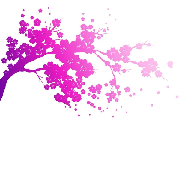 Mooie Roze Bloesem Boom Vector Illustratie Voorjaar Concept — Stockvector