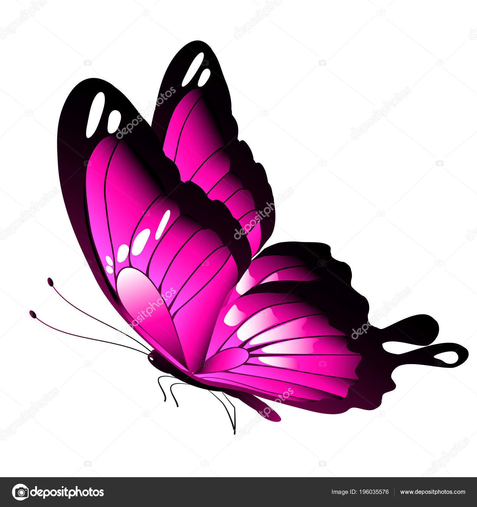 Free Free 109 Butterfly Background Svg SVG PNG EPS DXF File