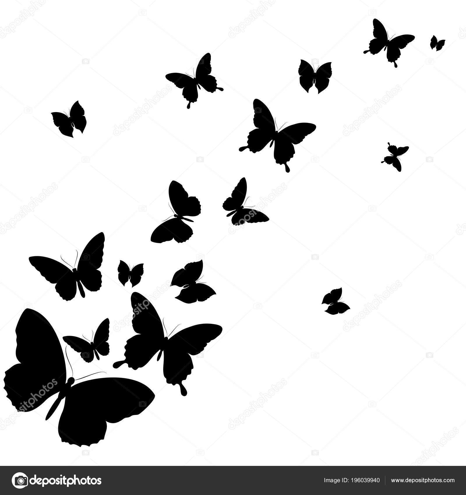 Postal Card Collection Black Flying Butterflies Isolated White