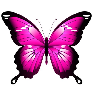 Beyaz arka plan, vektör, illüstrasyon izole parlak pembe kelebek
