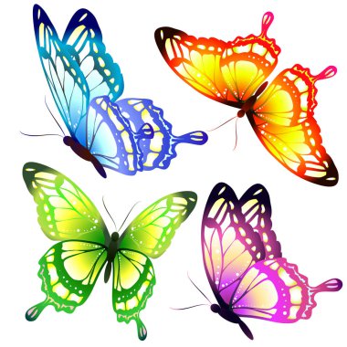 Beyaz arka plan, vektör, illüstrasyon izole renkli uçan kelebekler koleksiyonu ile posta kartı