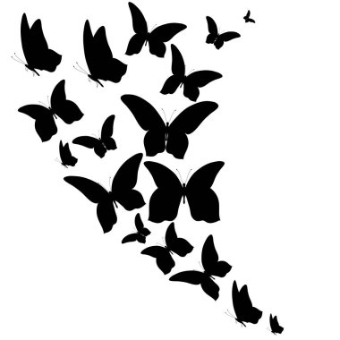 siyah beyaz arka plan, vektör, illüstrasyon izole kelebekler uçan koleksiyonu ile posta kartı