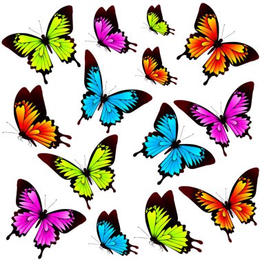 Beyaz arka plan, vektör, illüstrasyon izole renkli uçan kelebekler koleksiyonu ile posta kartı