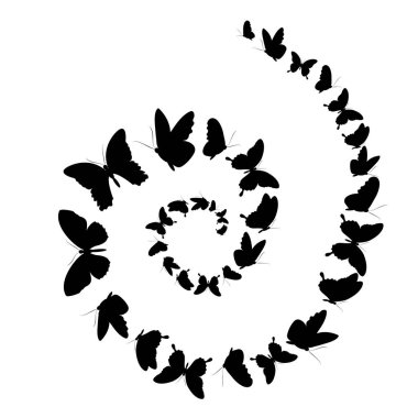 Beyaz arka plan, vektör, illüstrasyon izole sarmal şeklinde Siyah kelebekler uçan