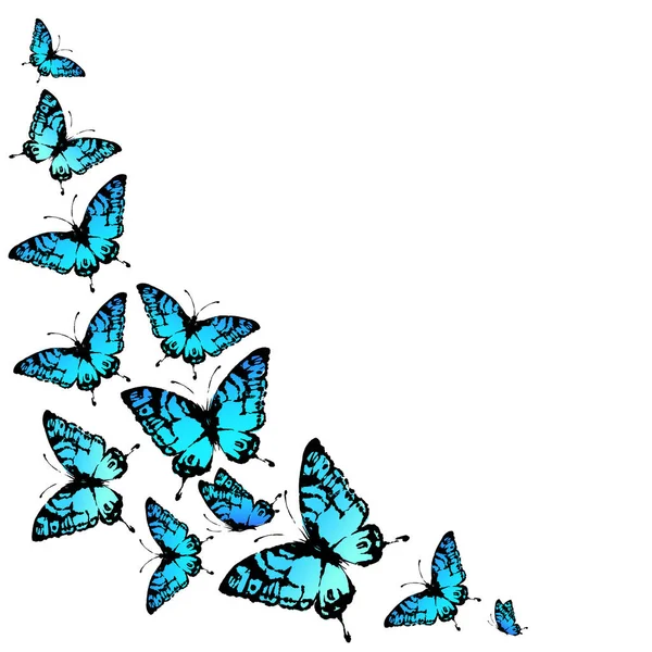 Carta Postale Con Collezione Farfalle Volanti Colorate Isolate Sfondo Bianco — Vettoriale Stock