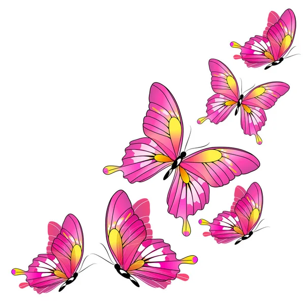 Post Kort Med Samling Färgglada Flygande Fjärilar Isolerad Vit Bakgrund — Stock vektor